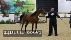24BUCK_00681 proof