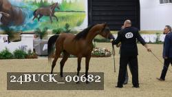 24BUCK_00682 proof