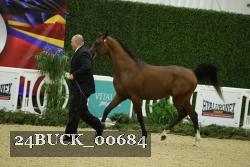24BUCK_00684 proof