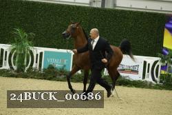 24BUCK_00686 proof