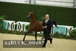 24BUCK_00687 proof