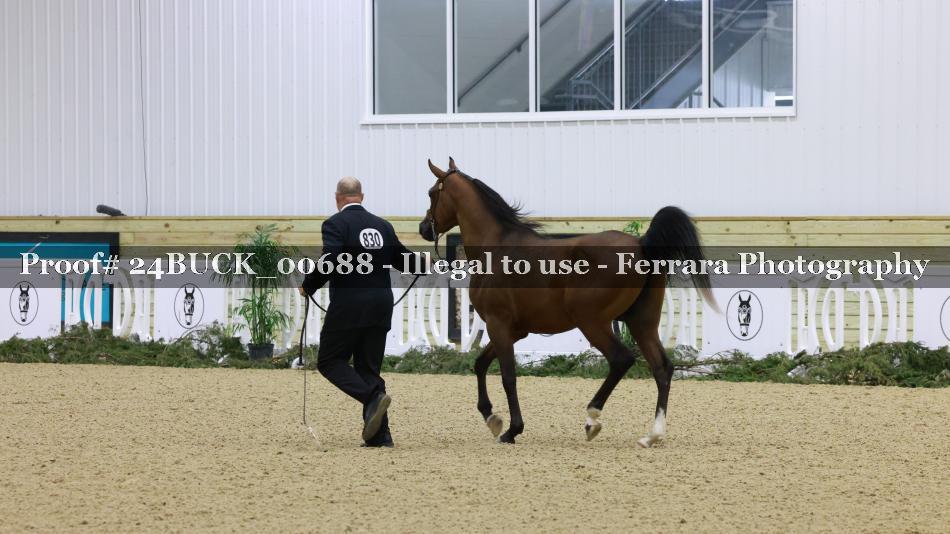 Proof 24BUCK_00688