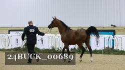 24BUCK_00689 proof