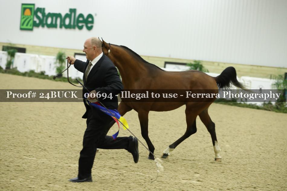 Proof 24BUCK_00694