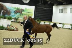 24BUCK_00695 proof