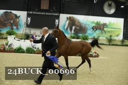24BUCK_00696 proof