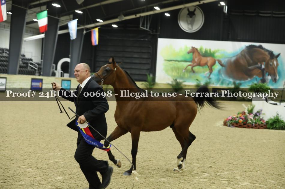 Proof 24BUCK_00698