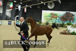 24BUCK_00698 proof