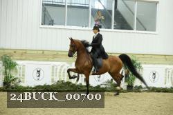 24BUCK_00700 proof