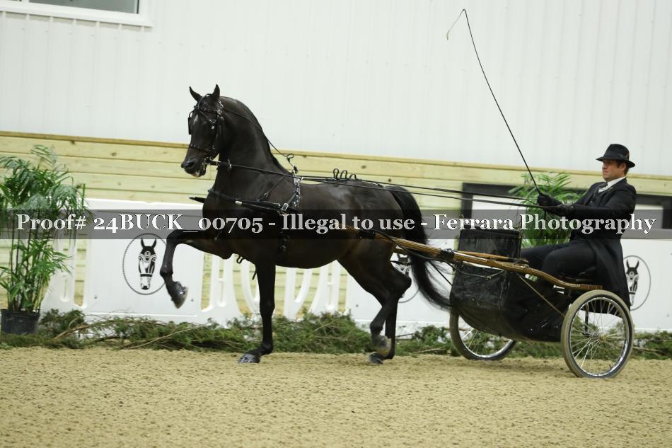 Proof 24BUCK_00705