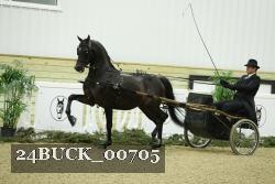 24BUCK_00705 proof