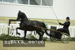 24BUCK_00706 proof
