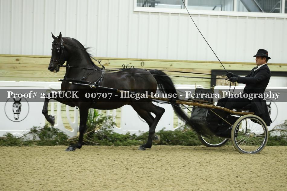 Proof 24BUCK_00707