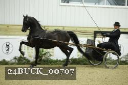 24BUCK_00707 proof