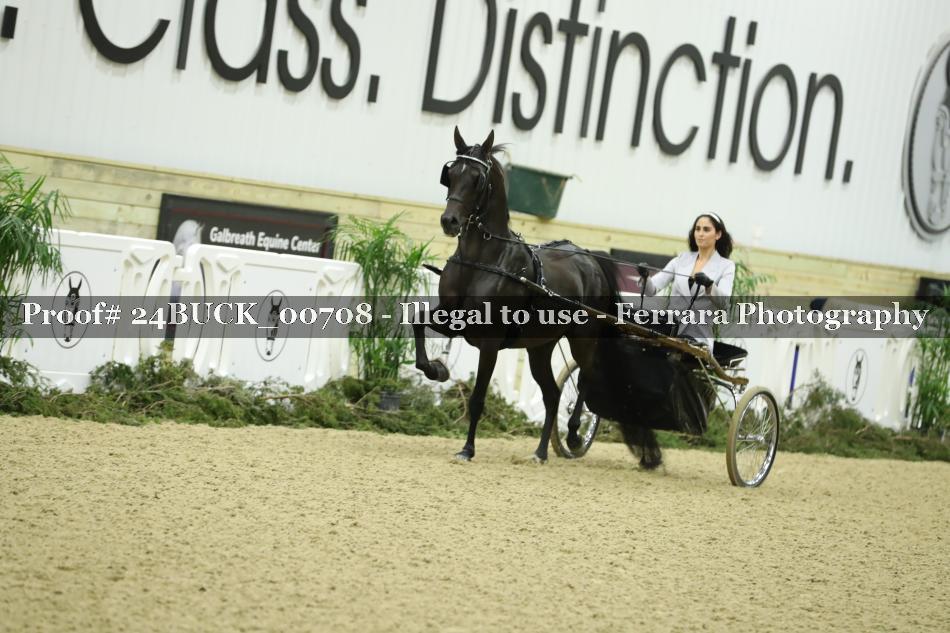 Proof 24BUCK_00708