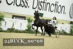 24BUCK_00708 proof