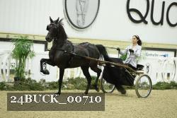 24BUCK_00710 proof