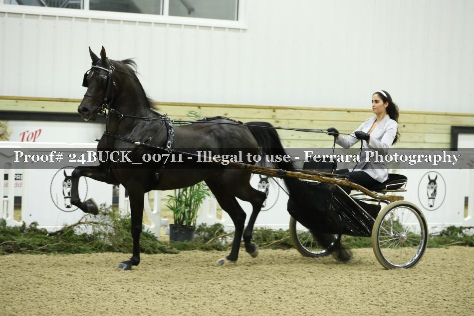 Proof 24BUCK_00711