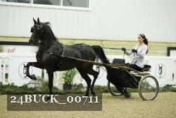 24BUCK_00711 proof