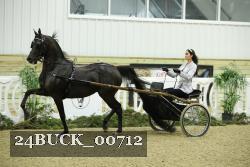 24BUCK_00712 proof