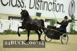 24BUCK_00714 proof