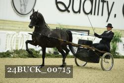 24BUCK_00715 proof