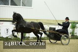 24BUCK_00716 proof