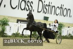24BUCK_00719 proof