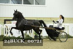 24BUCK_00721 proof