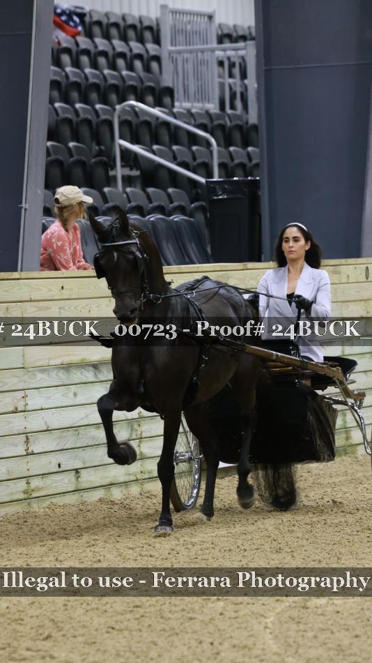Proof 24BUCK_00723
