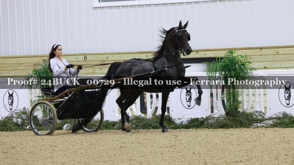 Proof 24BUCK_00729