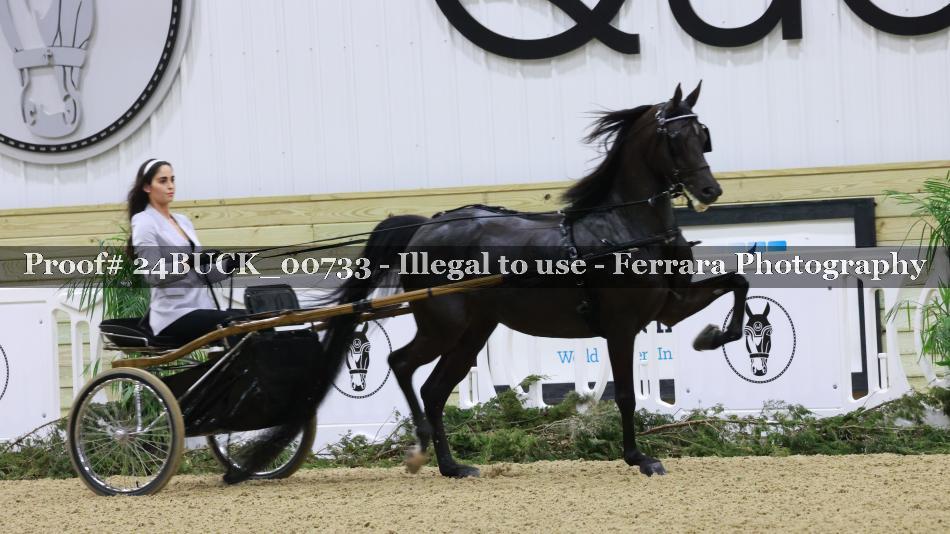 Proof 24BUCK_00733