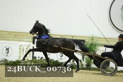 24BUCK_00736 proof