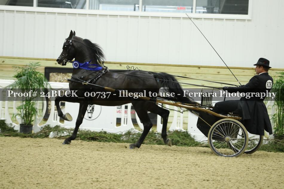 Proof 24BUCK_00737