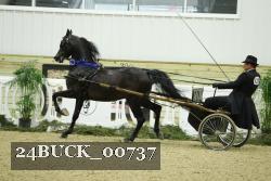 24BUCK_00737 proof