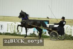 24BUCK_00738 proof