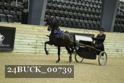 24BUCK_00739 proof