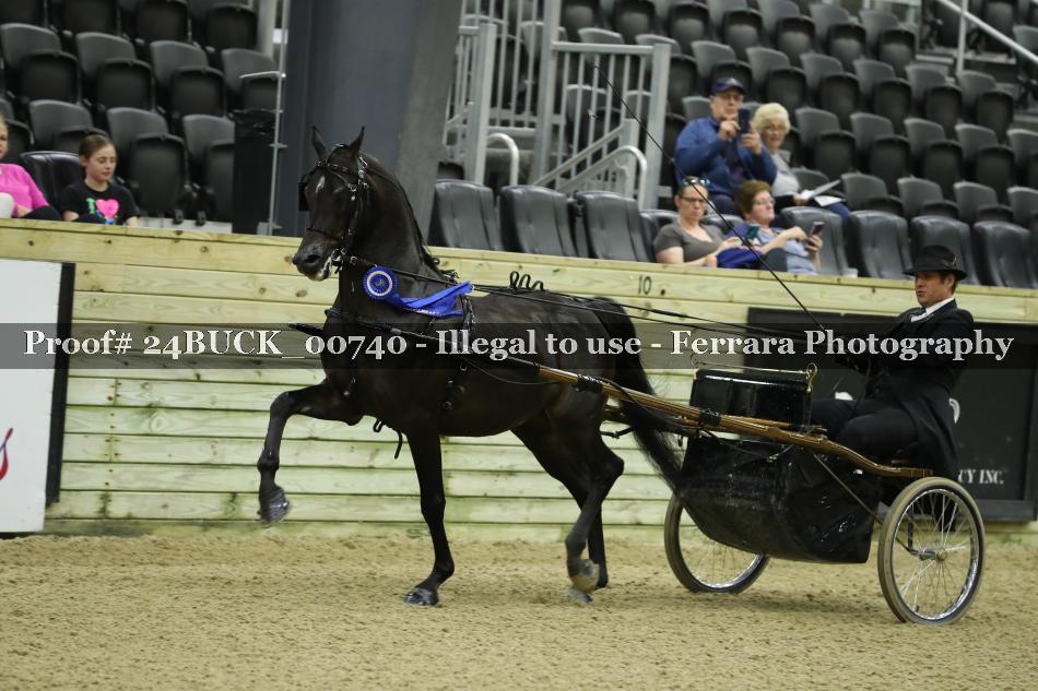 Proof 24BUCK_00740