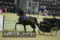 24BUCK_00740 proof
