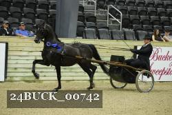 24BUCK_00742 proof
