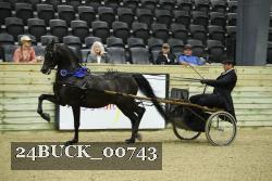 24BUCK_00743 proof
