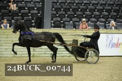 24BUCK_00744 proof