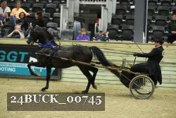 24BUCK_00745 proof