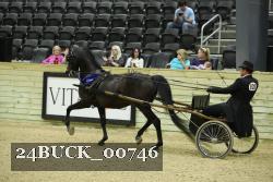 24BUCK_00746 proof