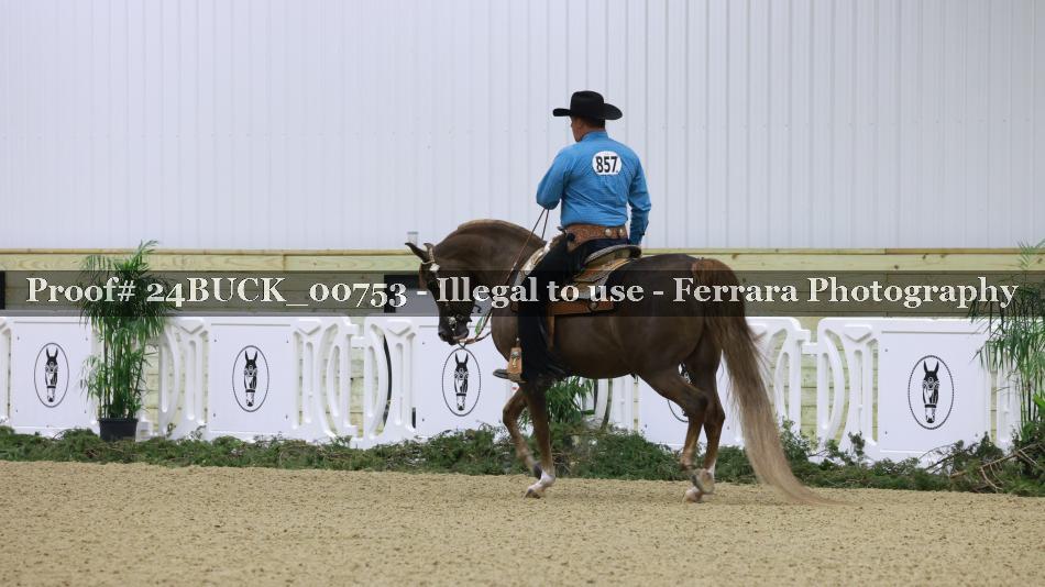 Proof 24BUCK_00753