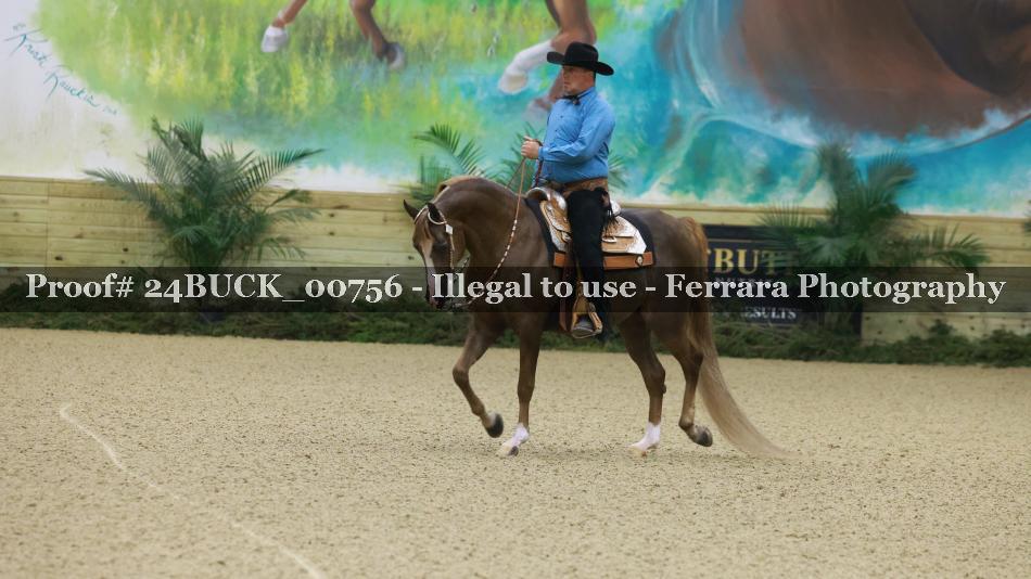 Proof 24BUCK_00756