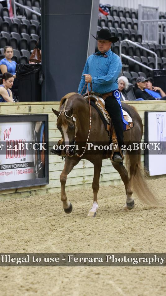 Proof 24BUCK_00771