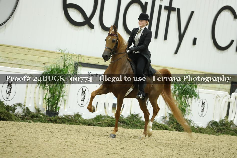 Proof 24BUCK_00774