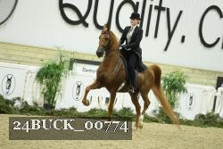 24BUCK_00774 proof
