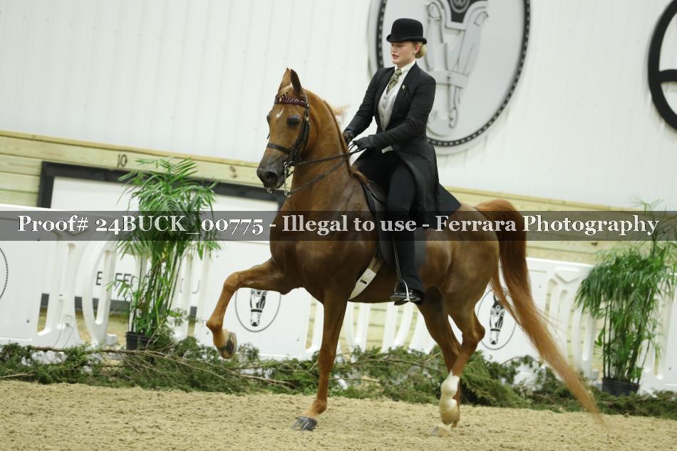 Proof 24BUCK_00775